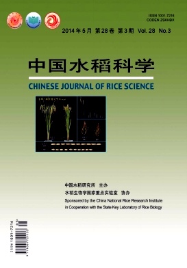 中國(guó)水稻科學(xué)
