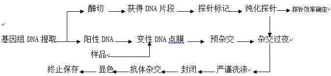 流程圖